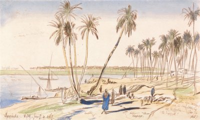 Sowadi, 4 gennaio 1867, ore 8:30 da Edward Lear